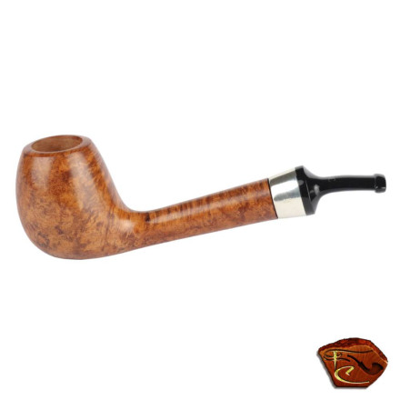 Pipe Butz Choquin de l'Année 2018