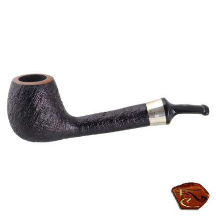 Pipe Butz Choquin de l'Année 2018